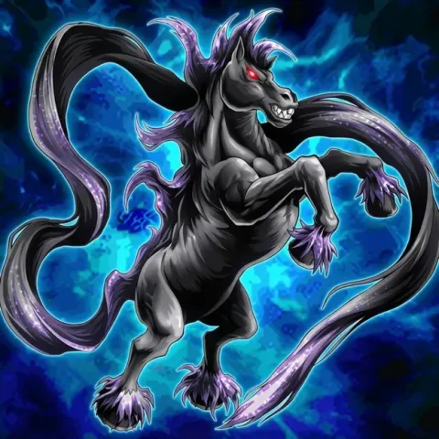 Yu-Gi-Oh! card Long-Tailed Black Horse