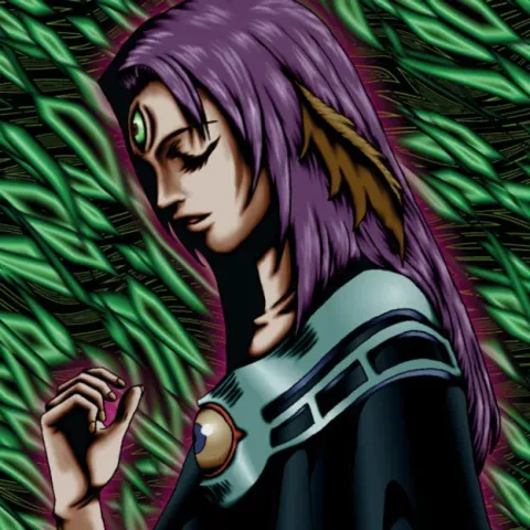 Yu-Gi-Oh! card Witch of the Black Forest